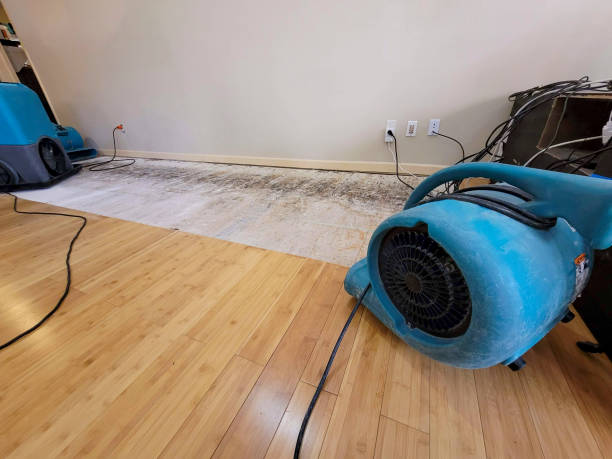 Professional Sewage Cleanup technician working in Wickenburg, AZ